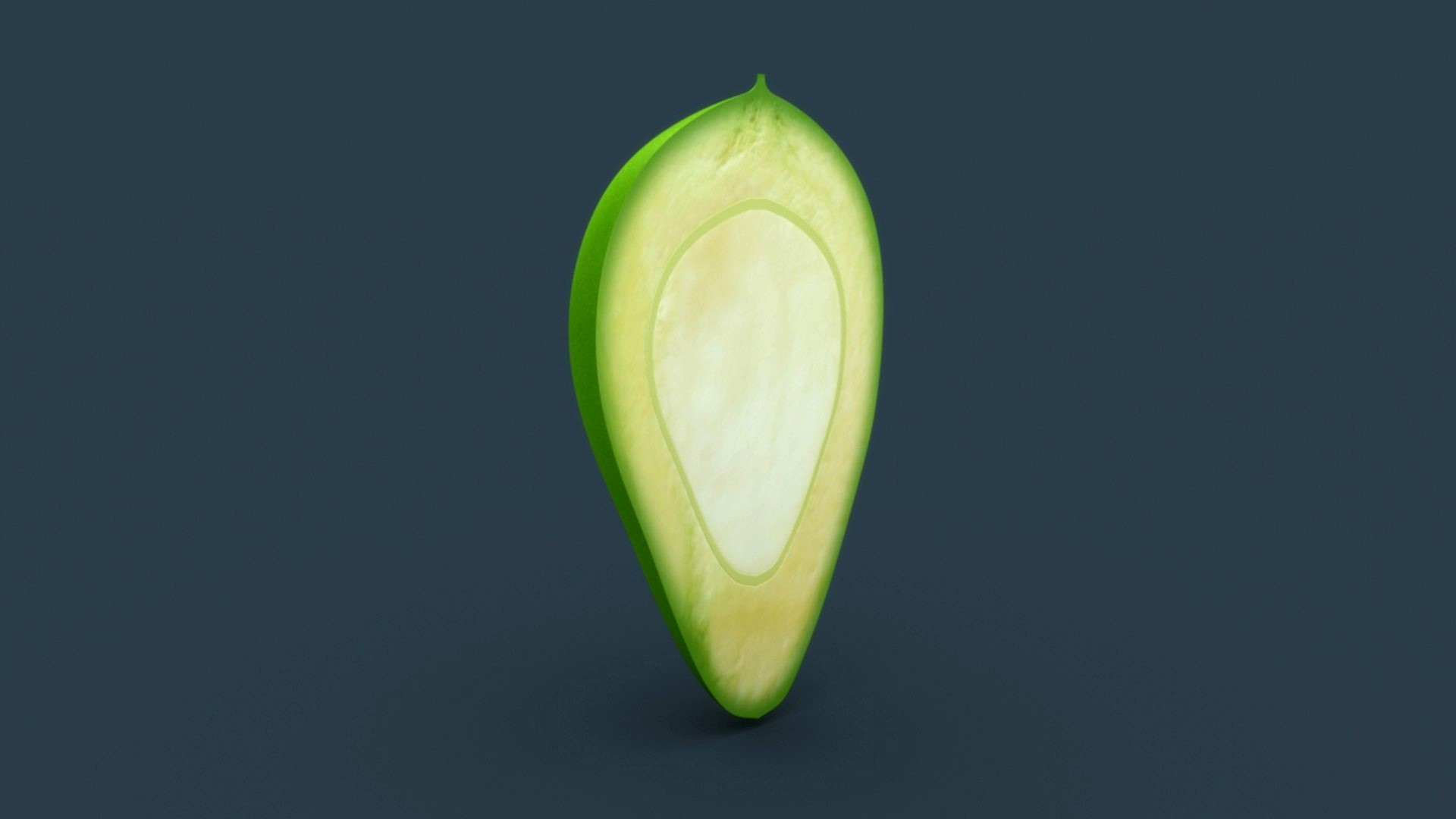Ovary of Mango