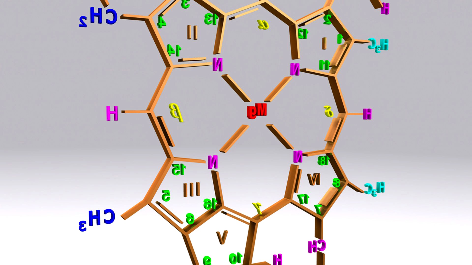 Chlorophyll C structure