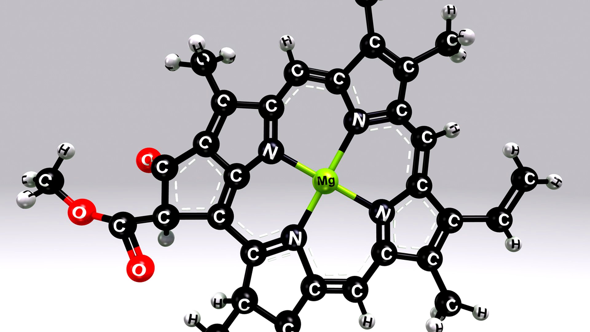 Chlorophyll B structure