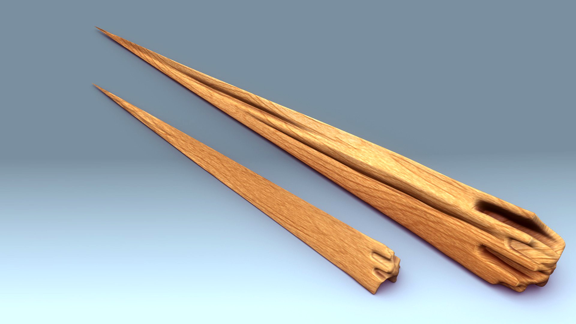 Wood Splinter