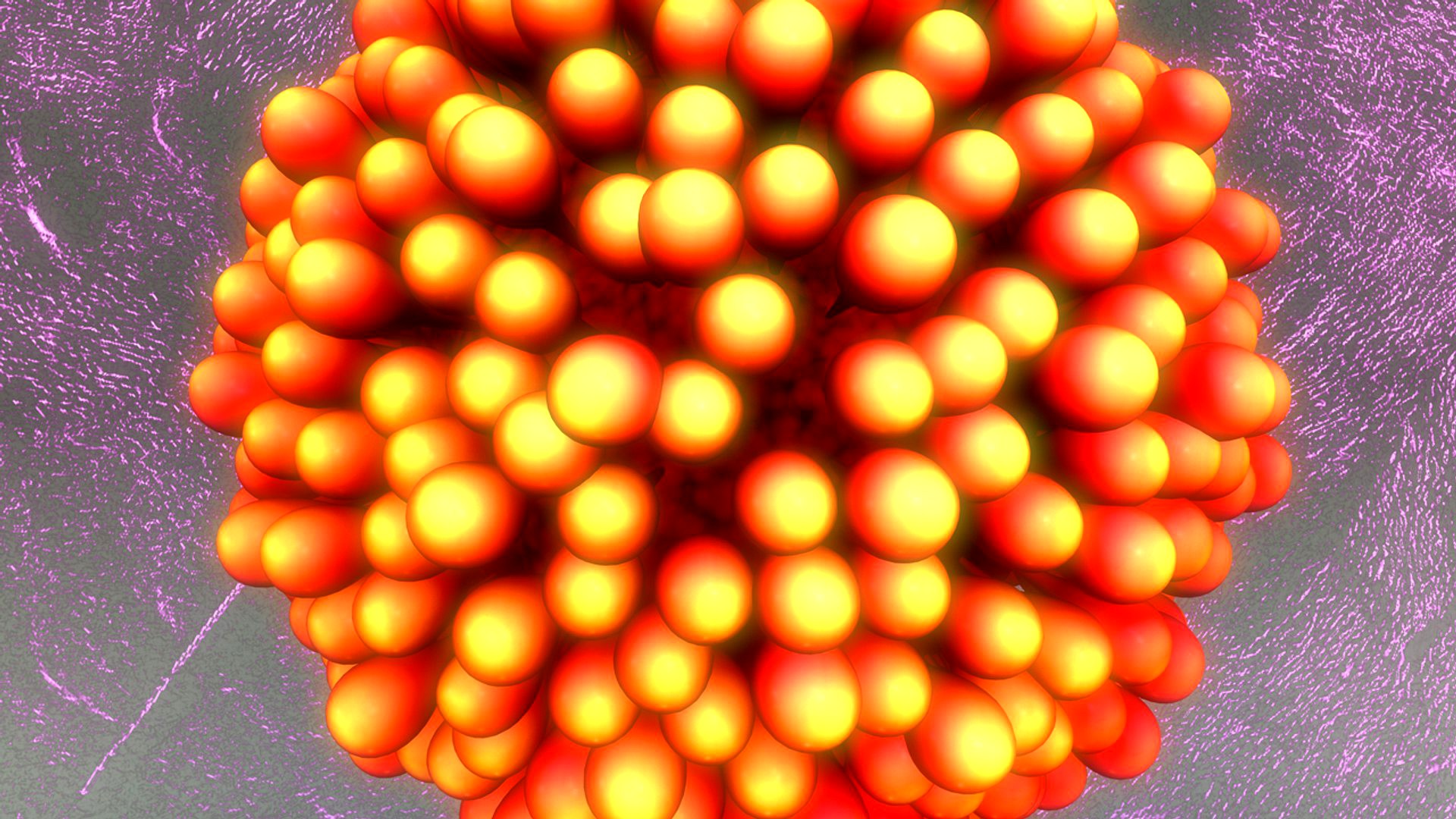 Human Egg