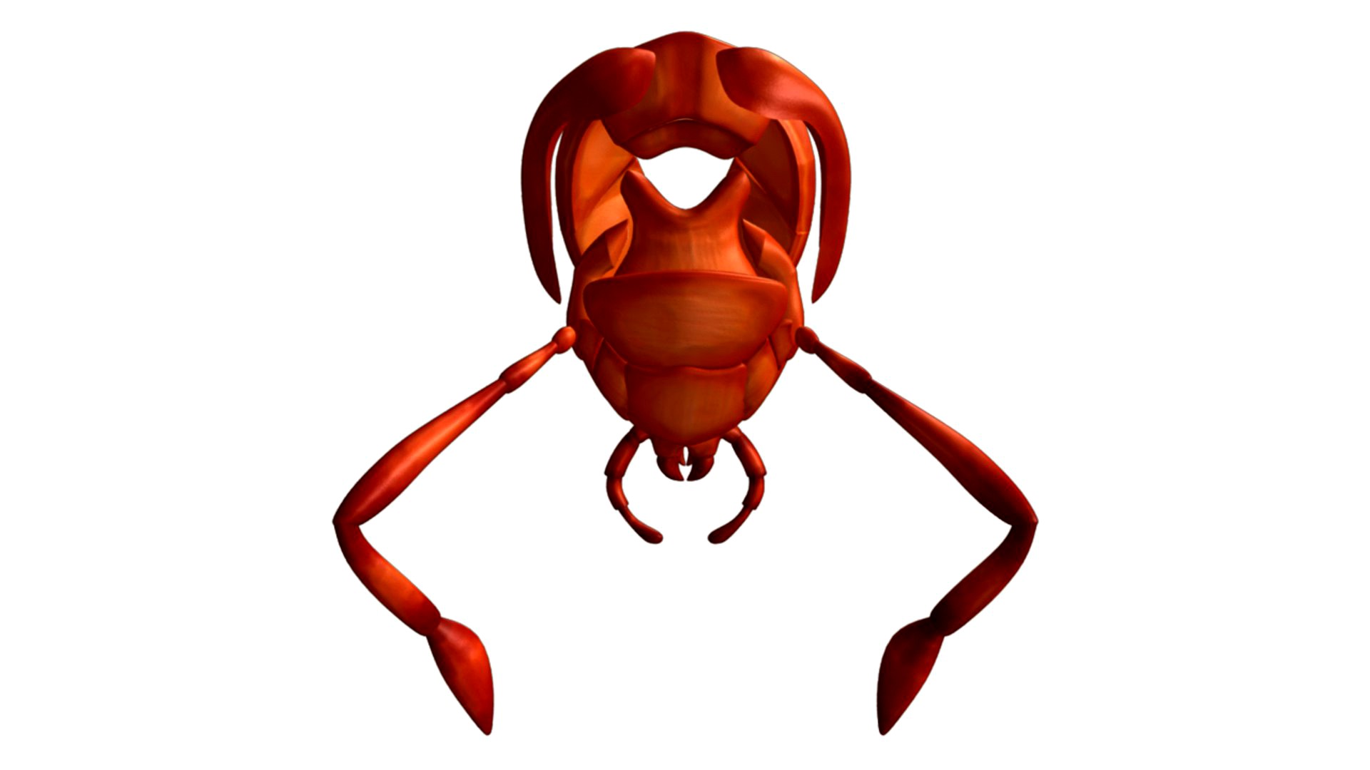 Mouth Parts of cockroach