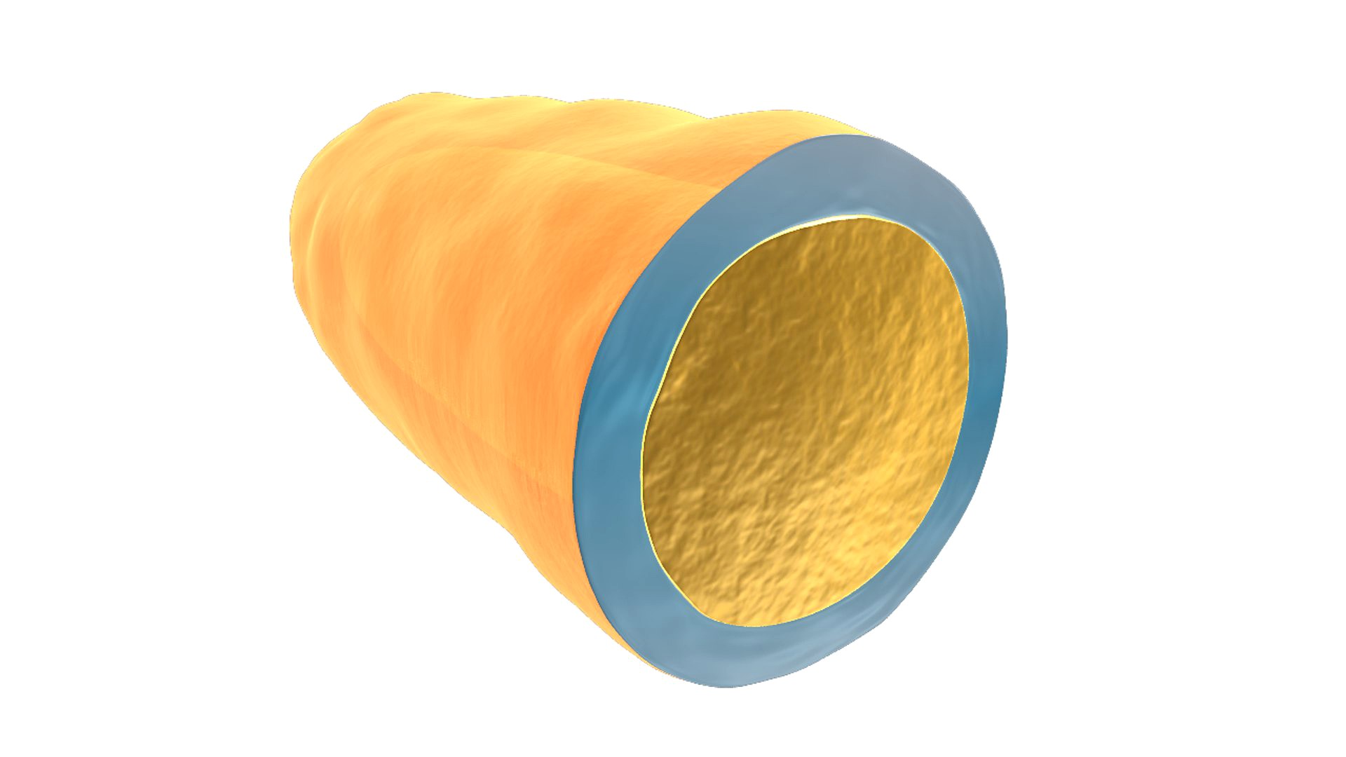 Capsule