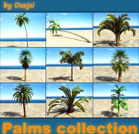 Palms collection 3D Model