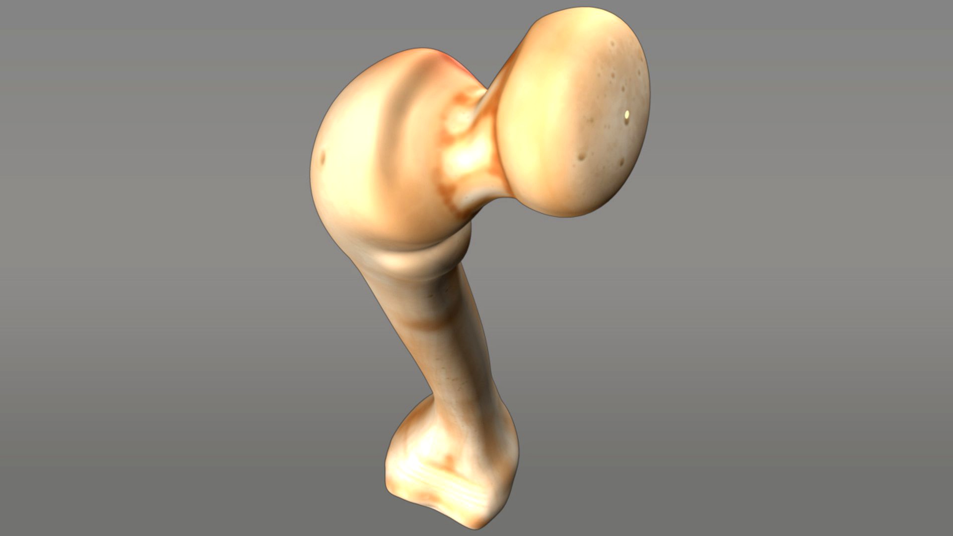 Bone