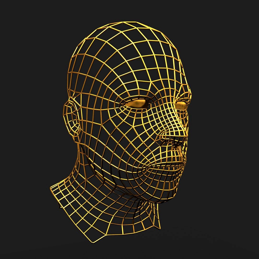 Wireframe Face