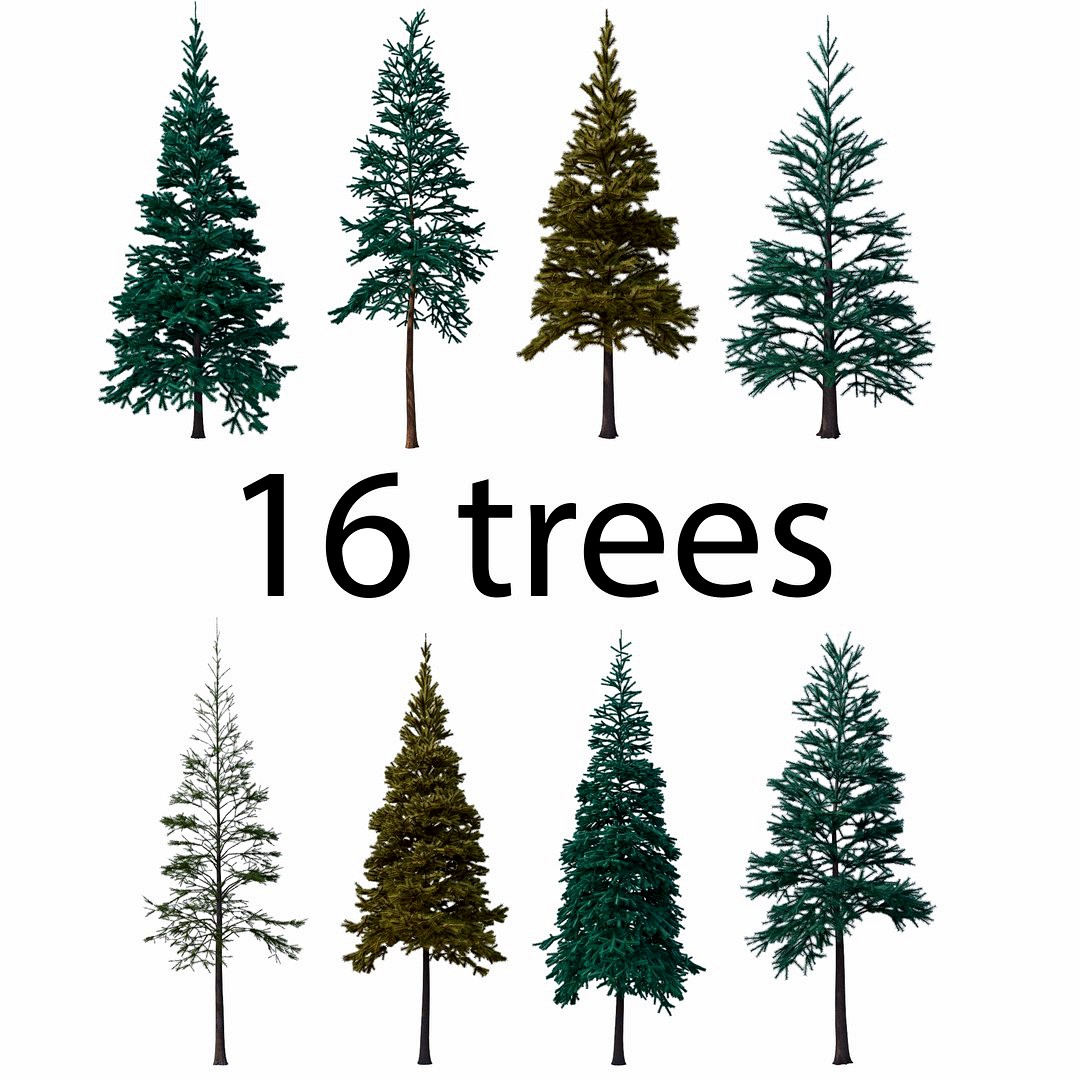 Conifer Pack