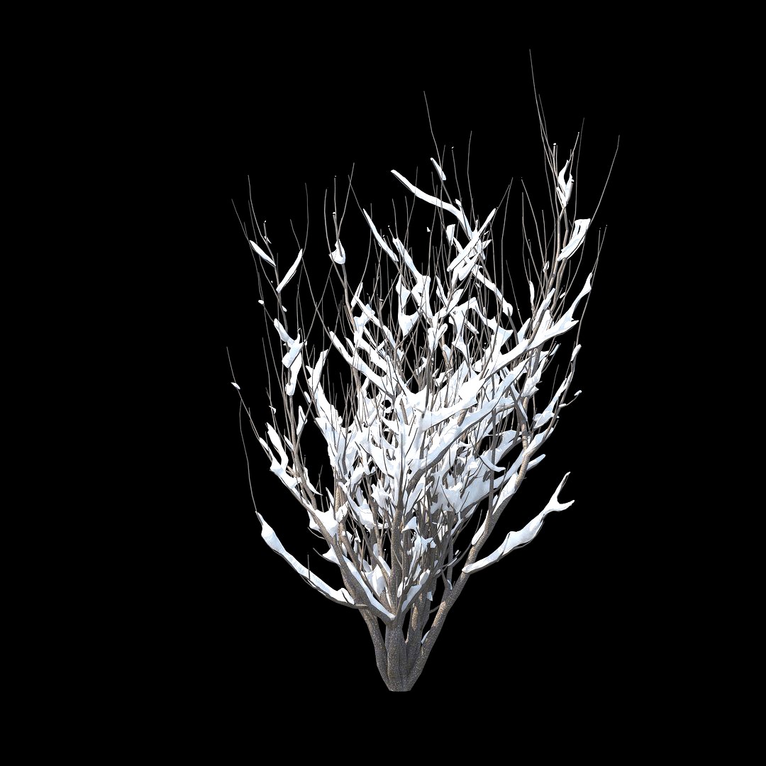 Winter Bush 04
