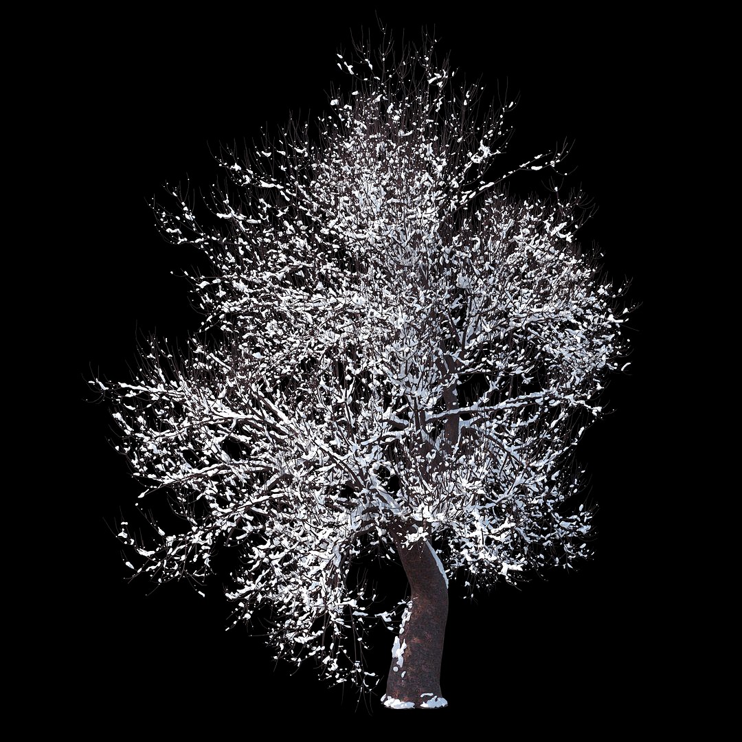 Winter Tree 07