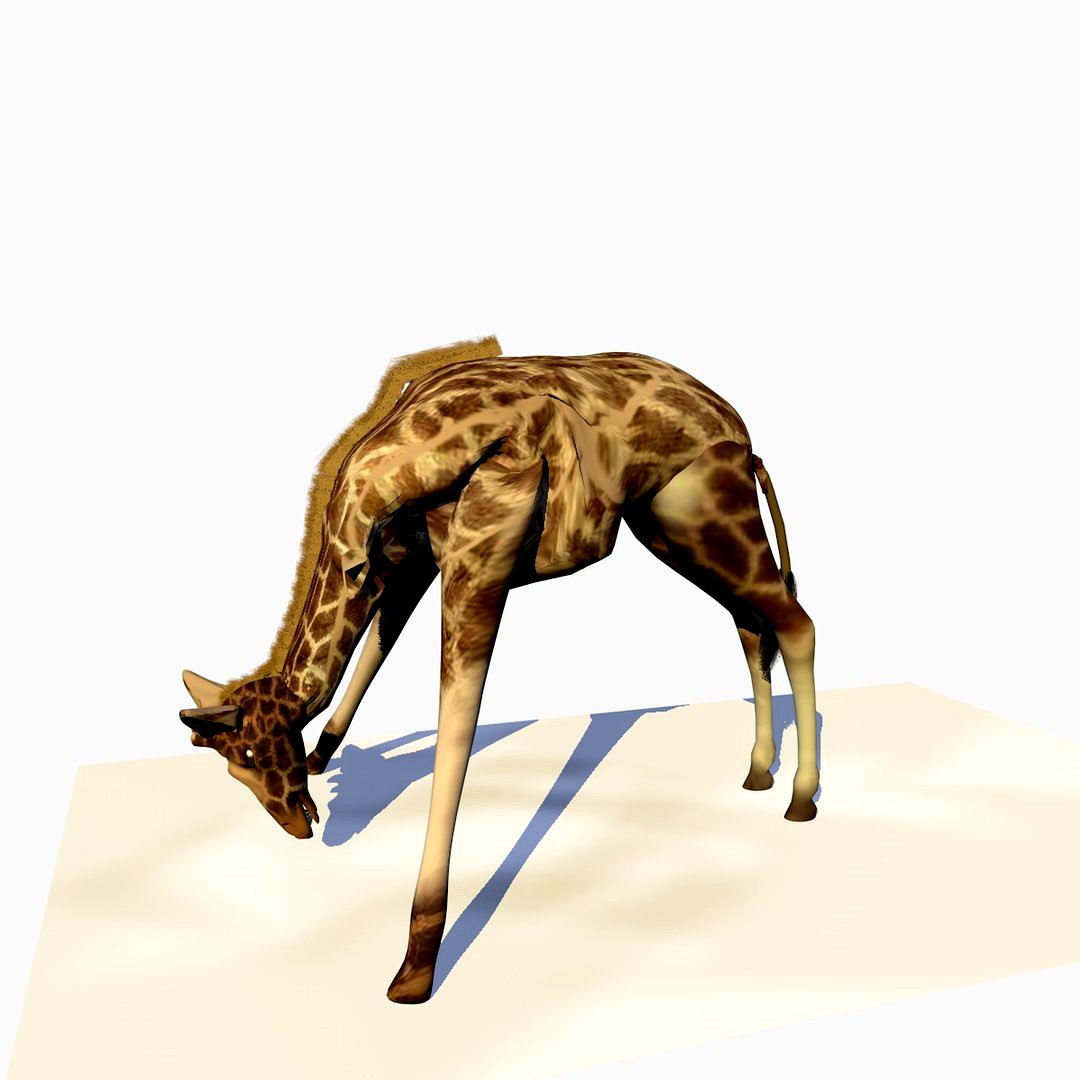 Animated Giraffe Eating Grass