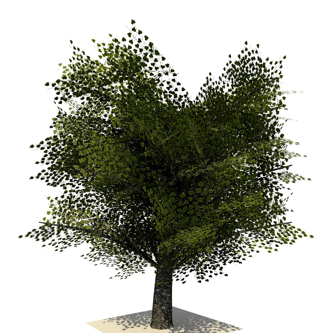 Realistic Tree Version 1