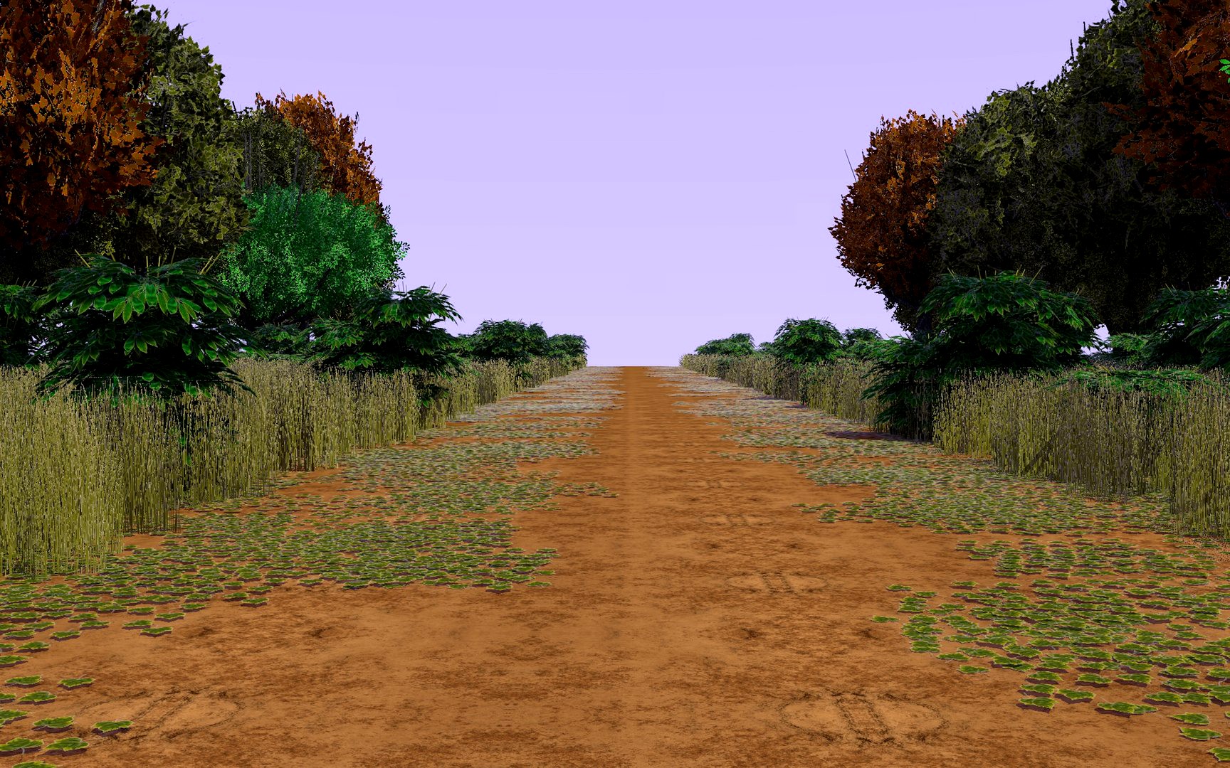 Forest Path 4