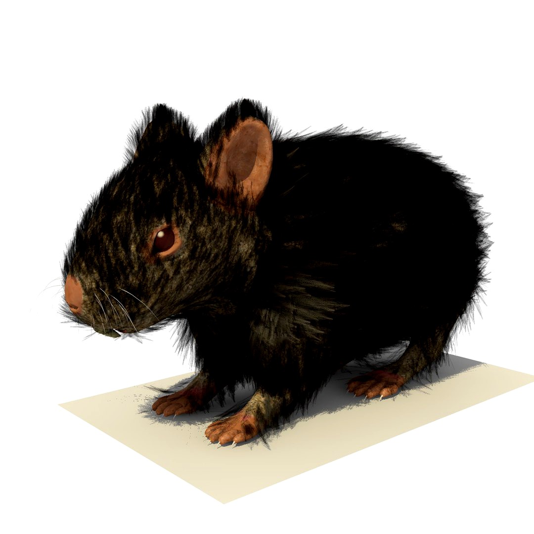 Black Hamster with FUR