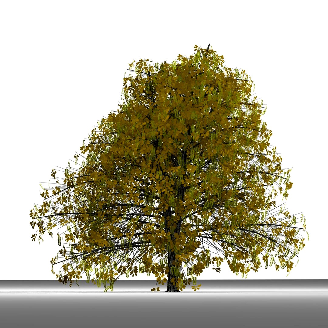 TREE 26