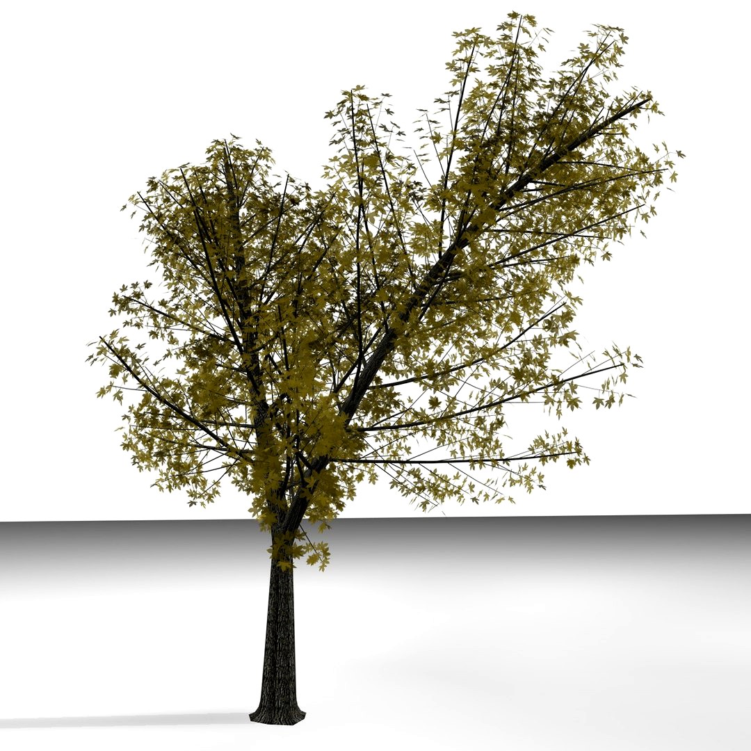 TREE 17
