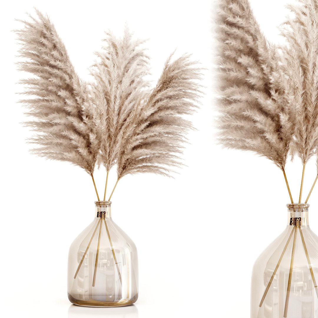 Pampas grass in glass vase 7