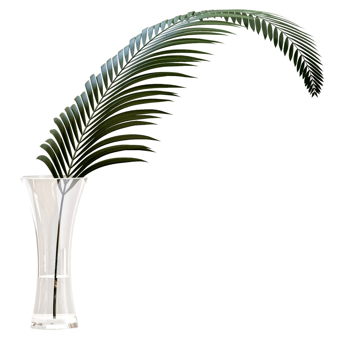 Glass vase with exotic Howea plant