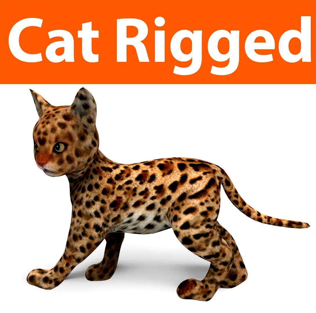 cute cat rigged