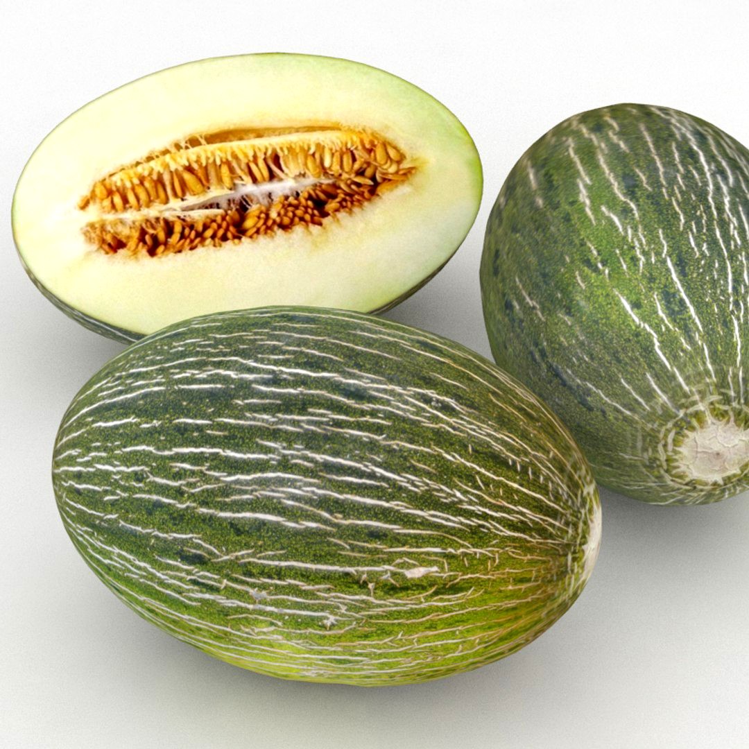 Melon Green Santa Claus Melon