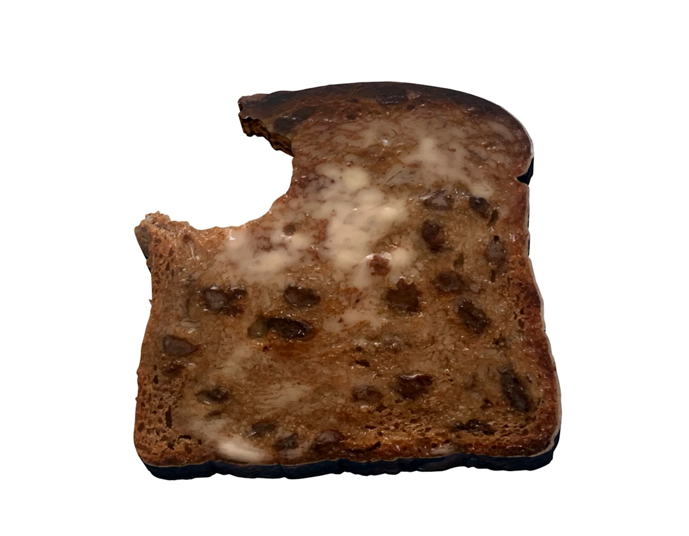 raisin bread