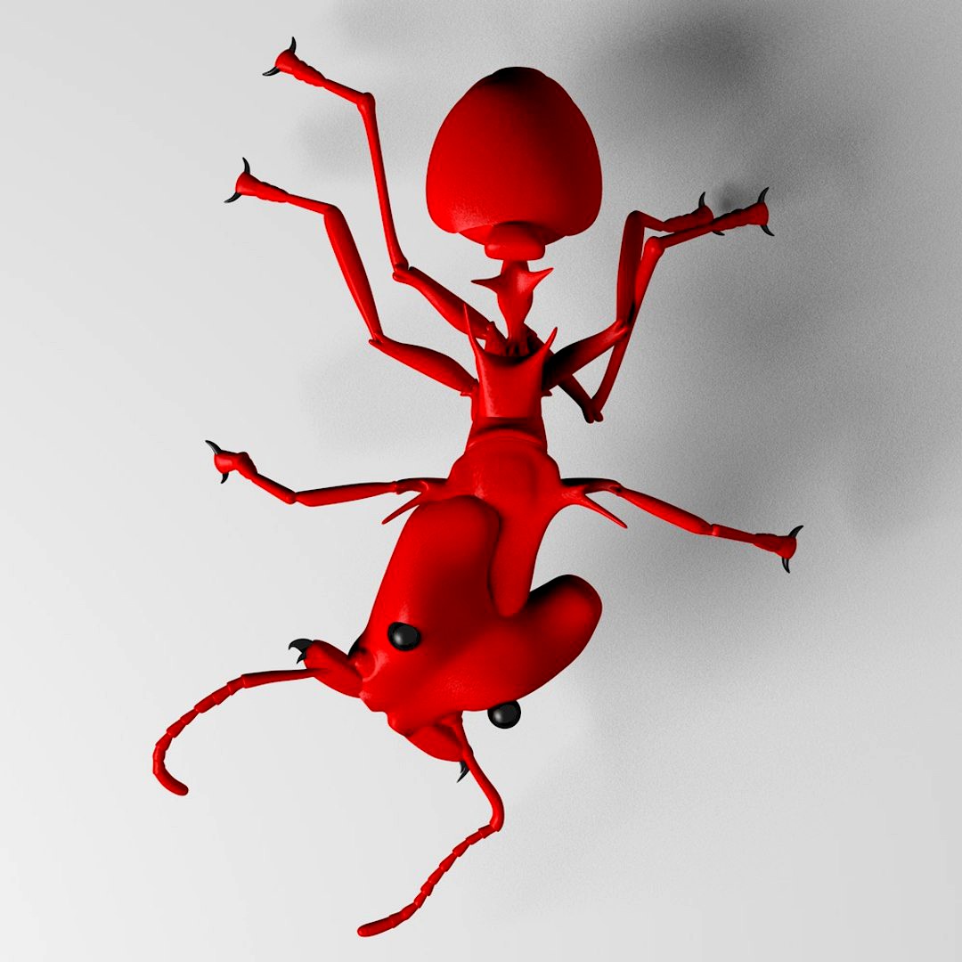 Ant