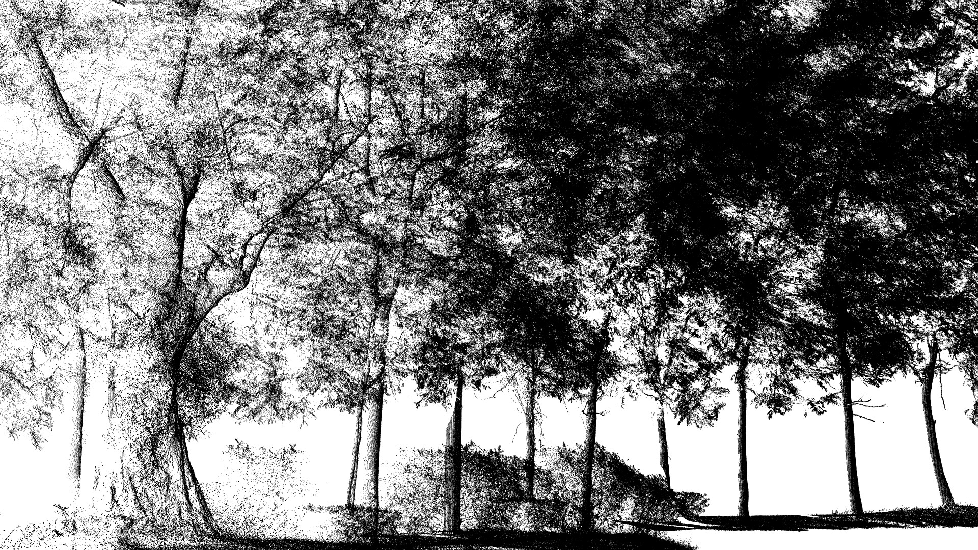 tree point cloud3