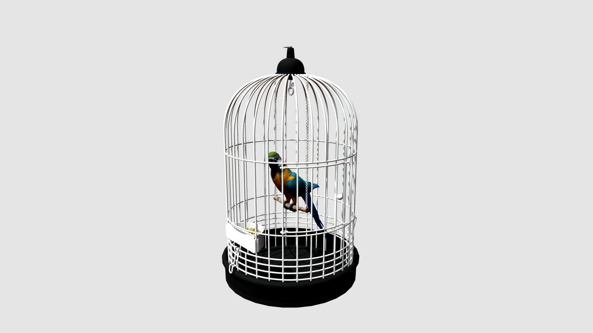 parrot