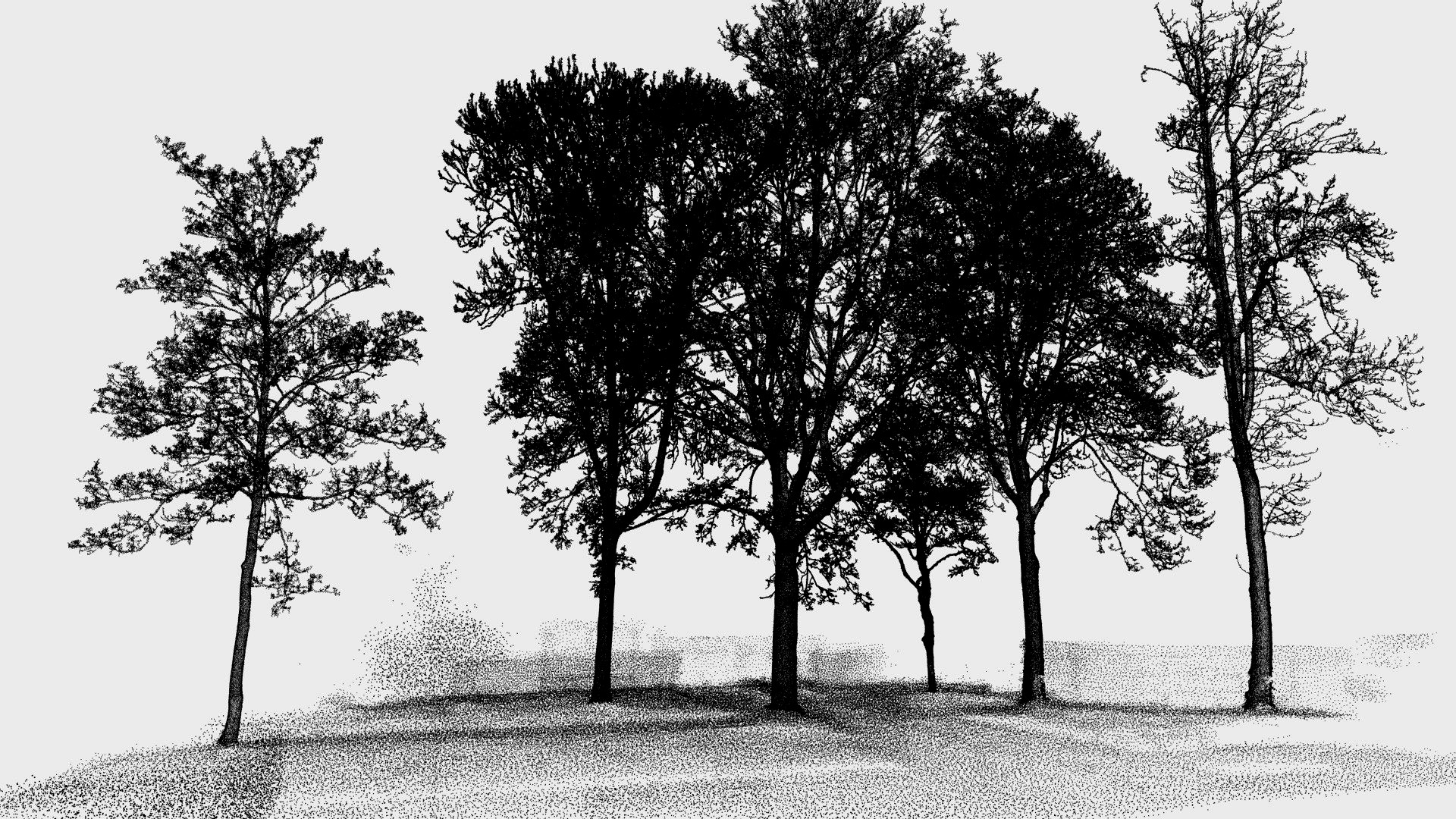 Trees Point Cloud