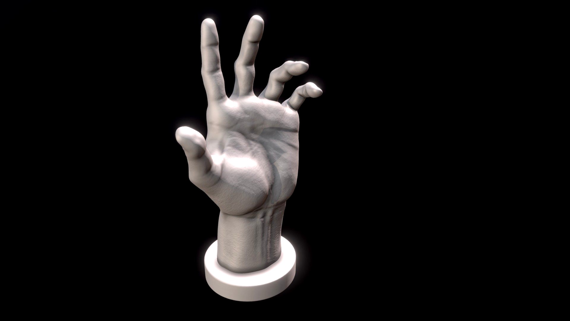 ANATOMICAL REFERENCE - HAND