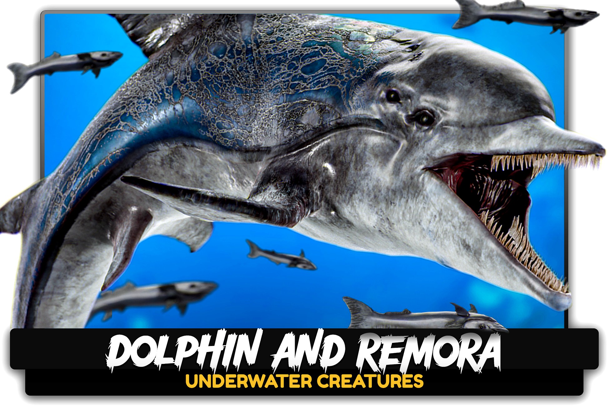 Dolphin and Remora - Realistic 3D Model - Animated Marine Monster - #62