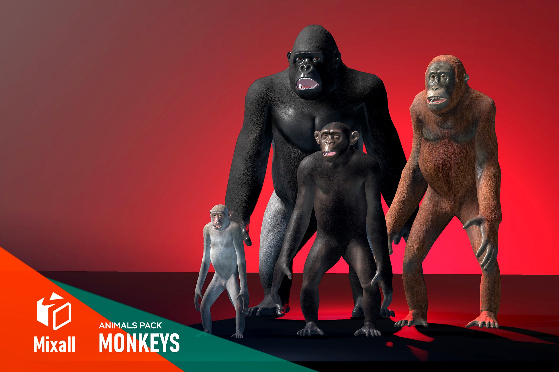 Monkeys - animals pack