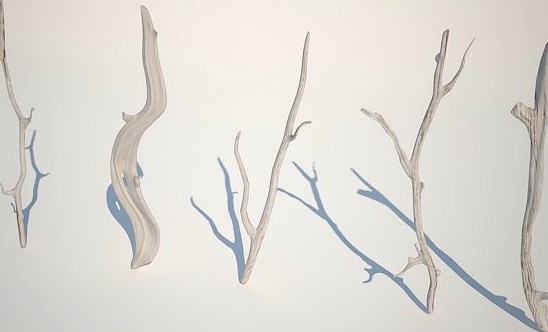 Dry Branches 3D Model