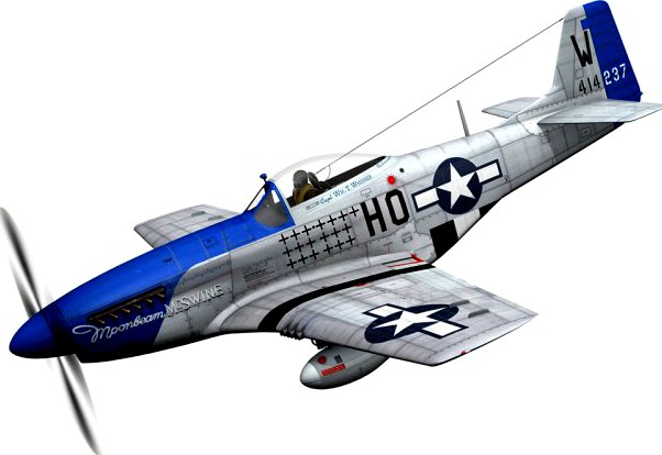 North American P51D Mustang  Moonbeam McSwine 3D Model