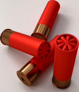 Shotgun Shells 3D Model