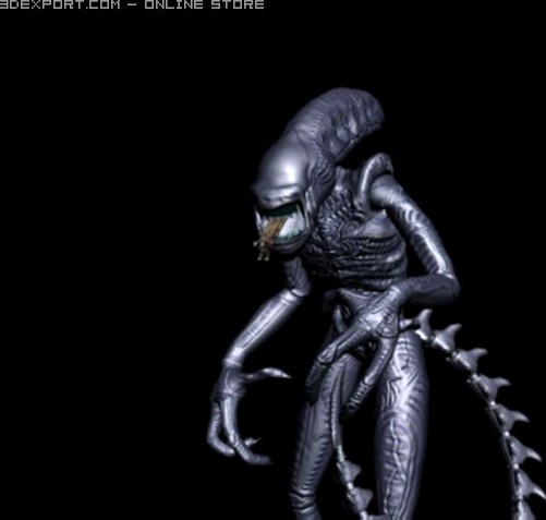 Alien Warrior 3D Model