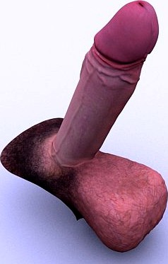 Penis or Vibrator 3D Model