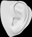 Ear 3D Model