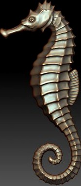 Seahorse 3D Model