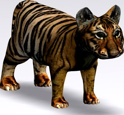 Baby Tiger 3D Model