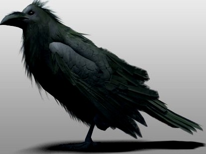 Raven 3D Model