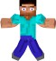 Minecraft Steve  Facial Rig 3D Model
