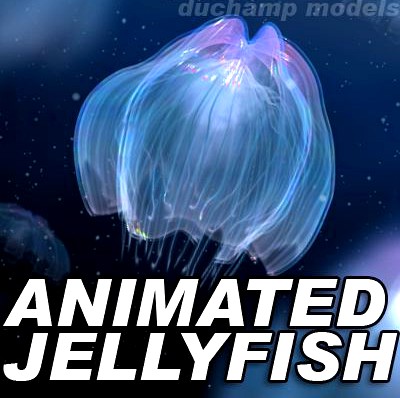 Animated Jellyfish 3D Model