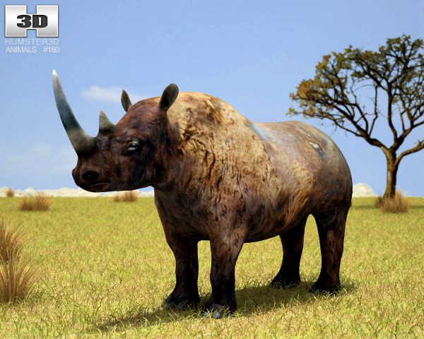 Black Rhinoceros 3D Model