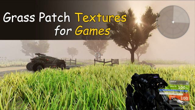 Grass Patch Textures 3D Model