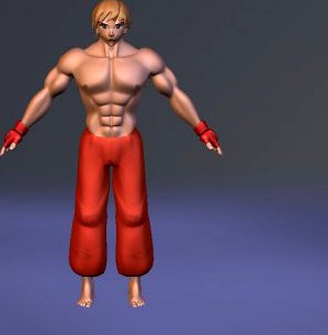 Fighter 3D Model