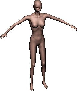 Female Body 3D Model