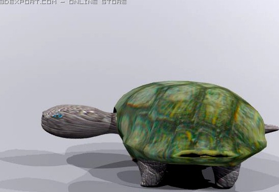 Turtle 3D Model