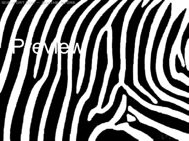 25 Zebra Textures 3D Model