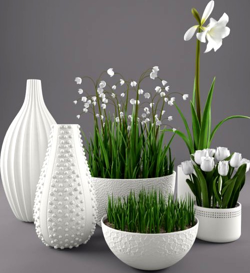Flowers and vases 3D Model
