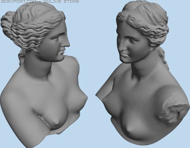 Venus Bust 3D Model